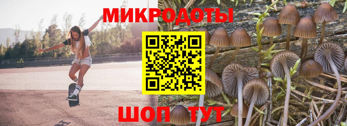 Галлюциногенные грибы прущие грибы Кумертау